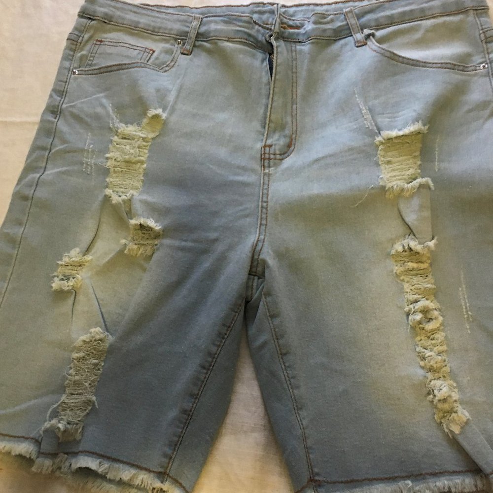 SHEIN Plus Raw Hem Ripped Denim Short